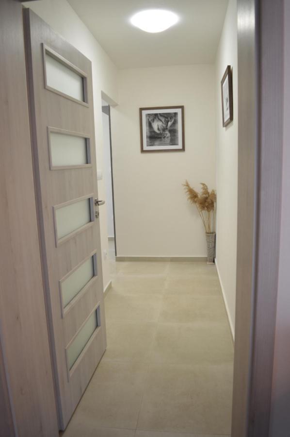 Olsovska Apartment
